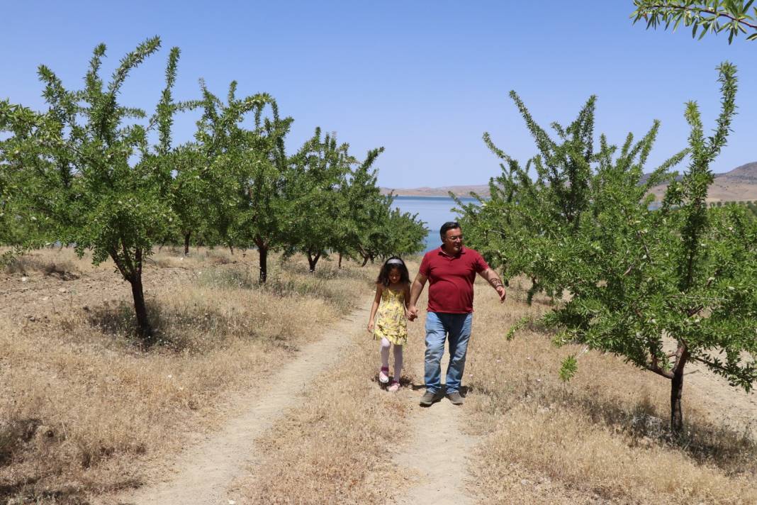 7 Yılın Sonunda Oldu: Hazineden Kiraladığı Arazi Hayatını Değiştirdi "Görmeden İnanmıyorlardı" 12